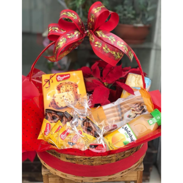 cesta natal mágico