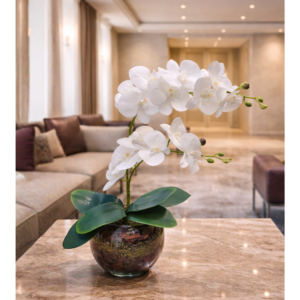 Orquídea Blanc Royale Permanente